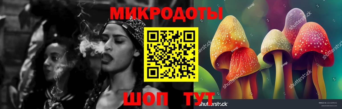 Стрежевой  Псилоцибиновые грибы Cubensis  Вход с VPN 